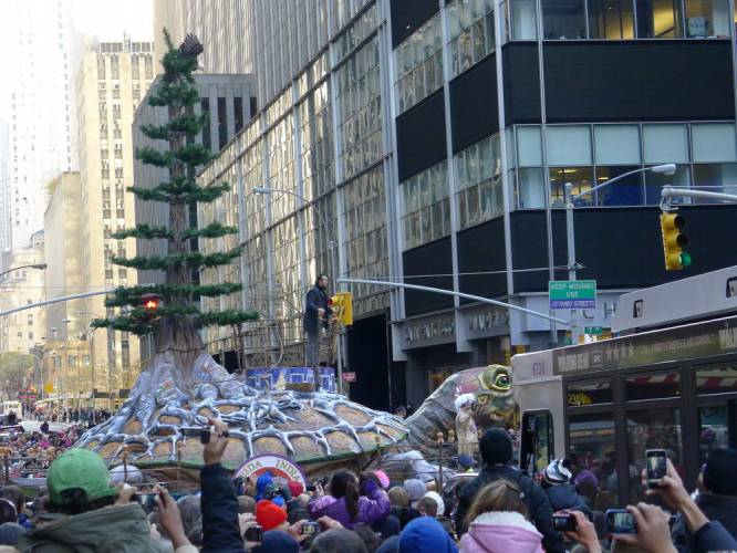 USA_2011-11-24 10-23-39